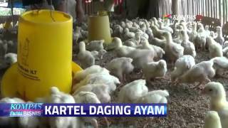 KPPU: 12 Perusahaan Kerja Sama Atur Harga Ayam