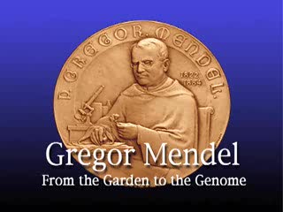 Gregor Mendel The Father of modren genetics - From the Garden to the Genome 