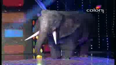India's Got Talent Season 3 - (9-September-2011) Siddesh's group animal puppet dance fizzles out
