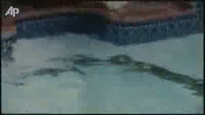 Giant Python Shows Up in Family Pool