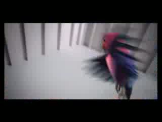 KitKat Love Birds Add - New Commercial