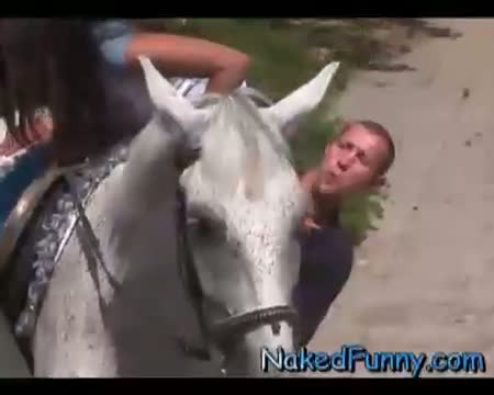 Help Me Get On The Horse Funny Video