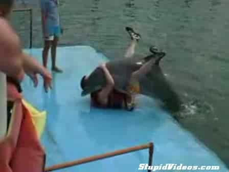 Dolphin Humps Man and other Videos