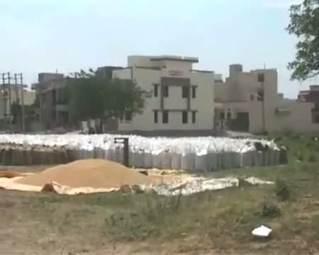 Tons of wheat dumped in residential colony in Ambala