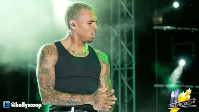 Chris Brown Under Fire For Selling Pit Bull Puppies