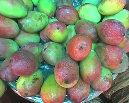 Mango rates worrying Aam Admi