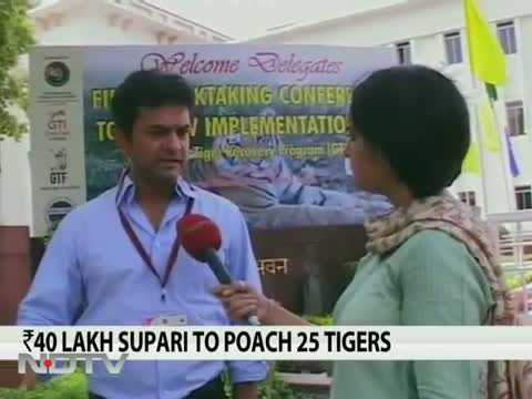 40 lakh supari for 25 tigers in Maharashtra
