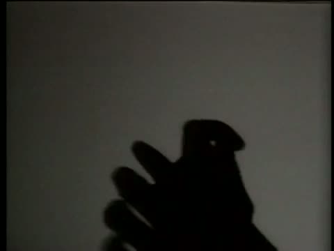 Rao - Hand Shadows 2- Funny Video