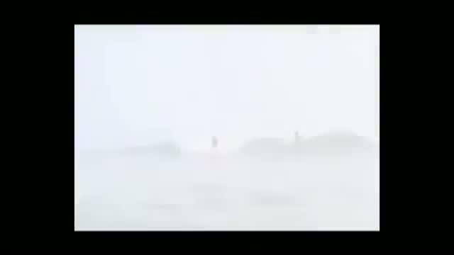 Shark Jumps Over Surfer