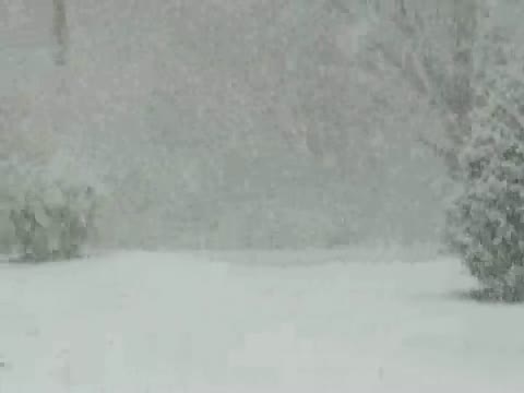 Blizzard Heavy Snow Video