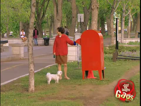 Dog in Mailbox Gag - Funny Video