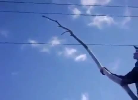 Dumb kid touches stick to power lines