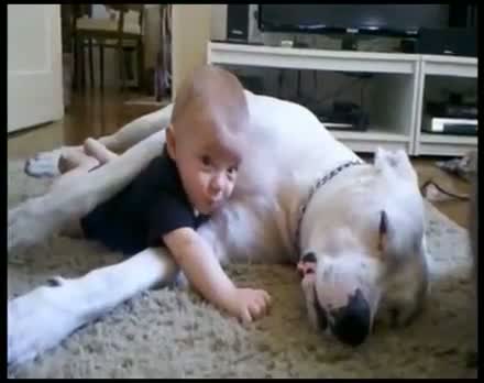 Dog and baby cuddle