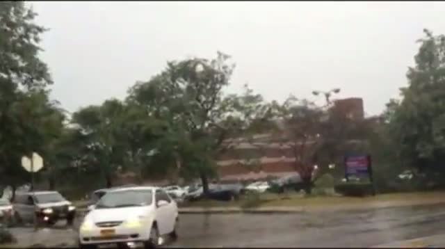 Raw Video - Heavy Rain, Downed Trees in N.Y.