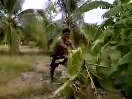 How a Muay Thai fighter fells a banana tree