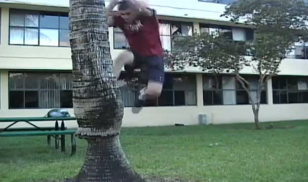 Funny Tree Flipper Failure 