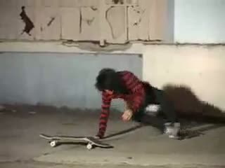 Funny Broken Skateboard Doh 