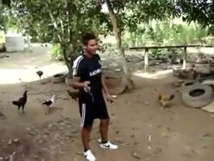 Calling Chickens Like a Boss