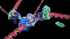 Molecular Visualizations of DNA