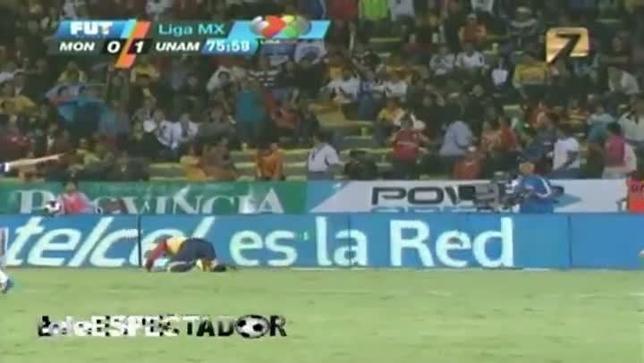 Soccer Fan Does Faceplant In The Stands