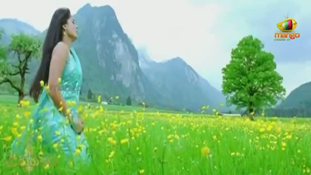 Nesthama Song - Damarukam - Nagarjuna Anushka Devi Sri Prasad - Telugu Cinema Movies