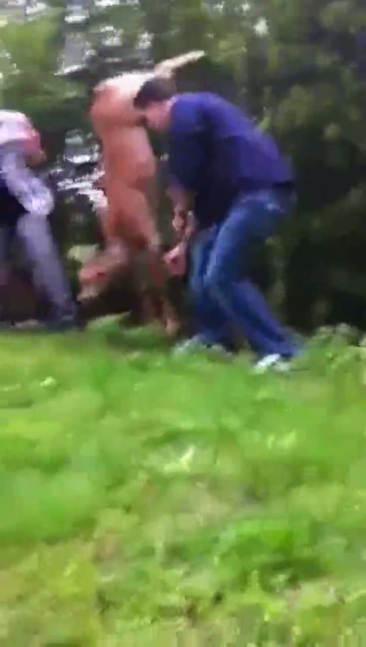 Man Saves Impaled Deer