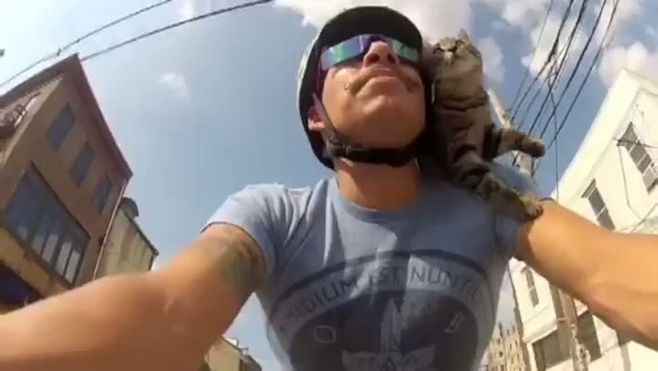 Guy Rides Bike With Cat On His Back