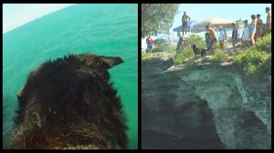 Dog Jumps Off Cliff For Ball