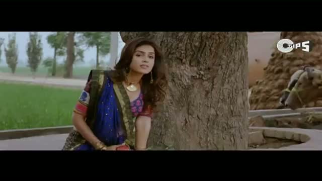Angry Chaudhary - Tere Naal Love Ho Gaya Movie