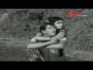 Takkari Donga Chakkani Chukka Songs - Nee Nadakalu Chusthe - Krishna, Vijaya Nirmala - Telugu Cinema Movies