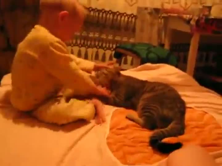 Cat Fights With Kid