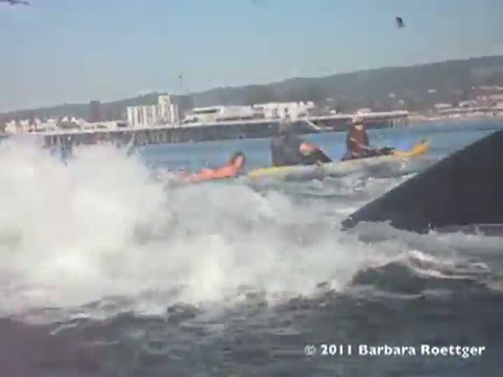 Surfer Almost Swallowed by a Whale