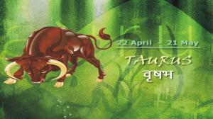 Annual forecast for Zodiac sign Taurus for 2013 by Acharya Anuj Jain.