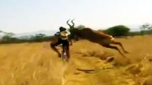 Mountain Biker Gets Taken Out by Buck
