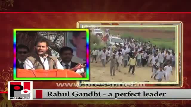 Rahul Gandhi made Congress vice President