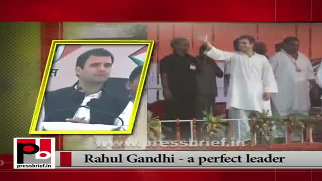 Rahul Gandhi elevated as Congress vice President