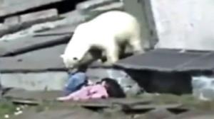 Russian Woman Attacked by Polar Bear