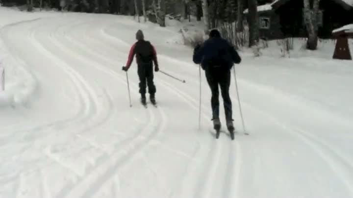 Cross-Country Ski Wipeout