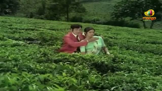 Muddula Koduku Movie Songs - Olole Nee Soku Song - ANR, Jayasudha, Sridevi - Telugu Cinema Movies