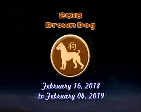 Chinese New Year & Animal Signs For 2013 to 2024