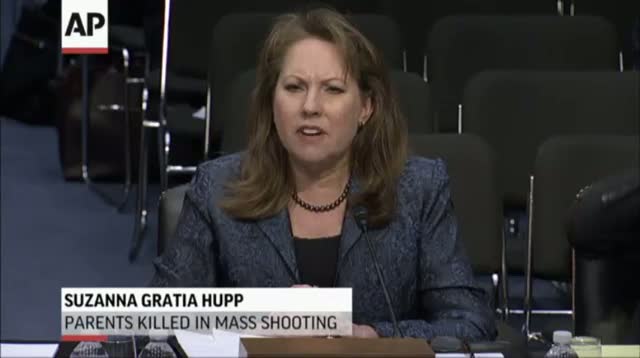 Lawmakers Clash at Latest Hearing on Guns