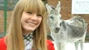 Donkey Interrupts Girls Interview By Farting