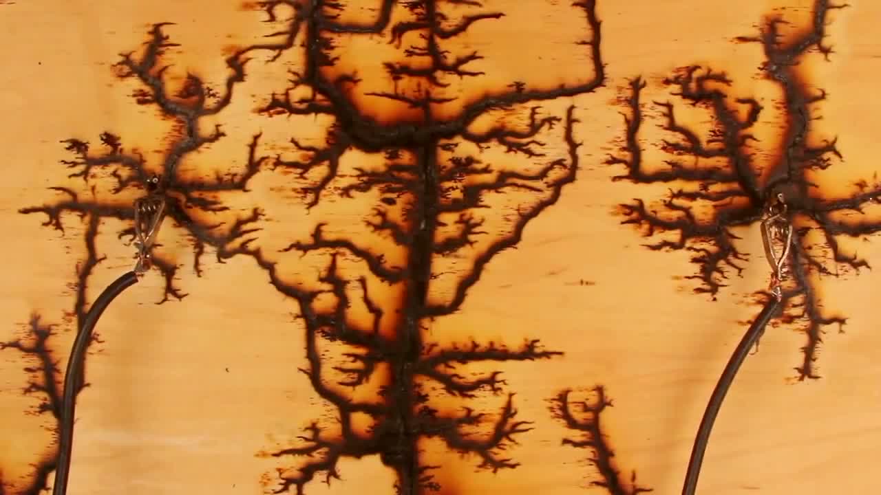 15,000 Volts Travels Through Wood