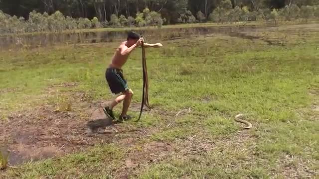 Daring Aussie Catches Rabbits Using Wild Snakes