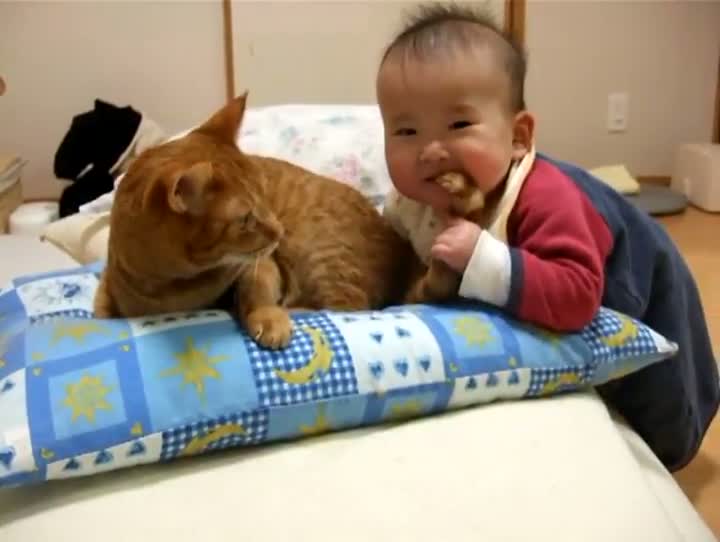 Baby Eats Cat Tail