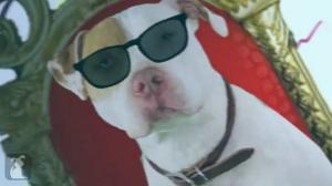 Fresh Pup Of Bel Air Parodies Fresh Prince Theme Song