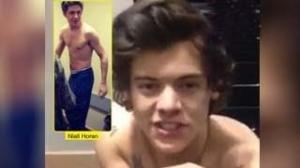 One Direction Guys Harry Styles and Niall Horan Caught Shirtless