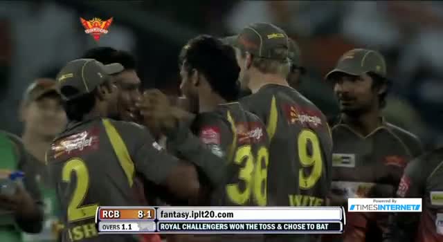 Wicket of Chris Gayle taken by Hanuma Vihari - SH vs RCB - PEPSI IPL 6 - Match 7