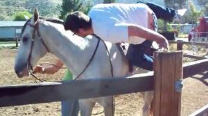 How Not To Mount A Horse