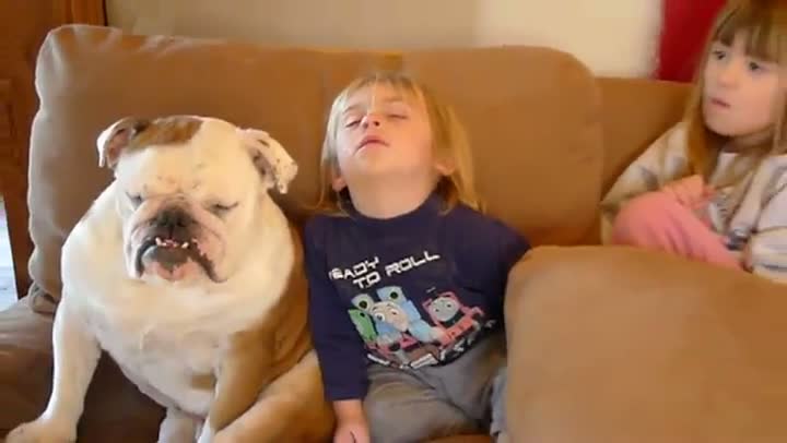 Baby Falls Asleep With Dog On Couch